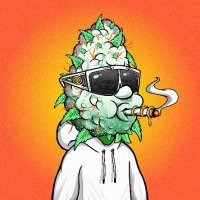 一花🔔＠フォロバ95⛲️ (@jillcollin41314) Twitter profile photo