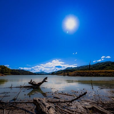 nikon1230's profile picture. 一応プログラマーしてます。