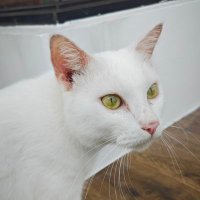 Miss J (@elysebruh) 's Twitter Profile Photo
