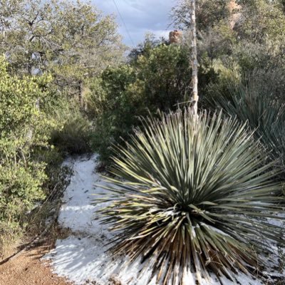 PRamirez71766's profile picture. Enjoy being in the West. Love whiskey and wine. Conservative and very pragmatic. Can’t stand hypocrisy! No DM!❤️🇺🇸