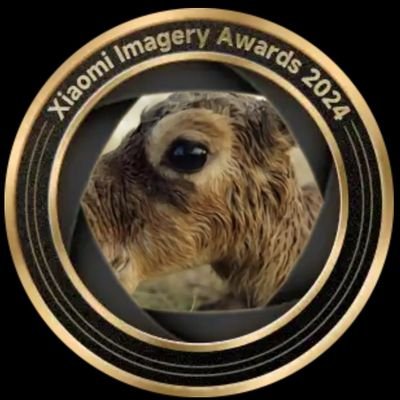 mi_ra_x's profile picture. 
