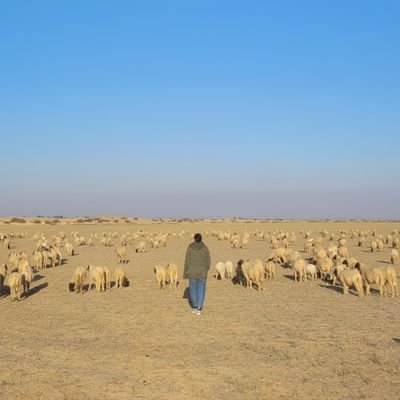 RiyaBissa's profile picture. Architect from the Golden City- Jaisalmer
