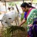 Daggubati Purandeswari 🇮🇳 (@purandeswaribjp) Twitter profile photo Daggubati Purandeswari 🇮🇳 (@purandeswaribjp) Twitter profile photo