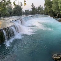 Döne Tosuner (@tosunerdone) 's Twitter Profile