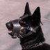 luca. (@rott3ndog) Twitter profile photo luca. (@rott3ndog) Twitter profile photo