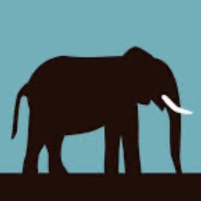 ThonASD77's profile picture. Débutant dans le SEO