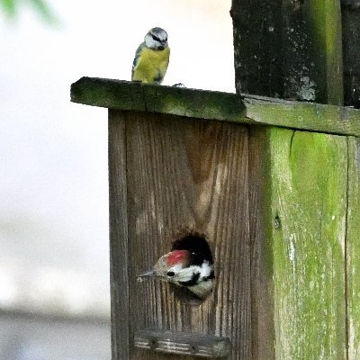 sledz_arkadiusz's profile picture. 