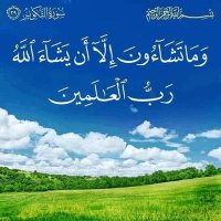 المـقـاومــة (@resistance5544) Twitter profile photo