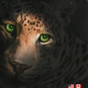 FRED BOVIA - @BLUEYEDPOOKIE - Twitter