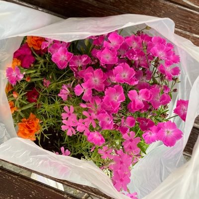 j_xxc's profile picture. 