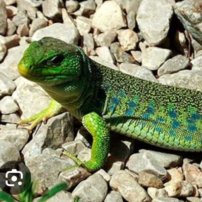 LessM_1989's profile picture. 