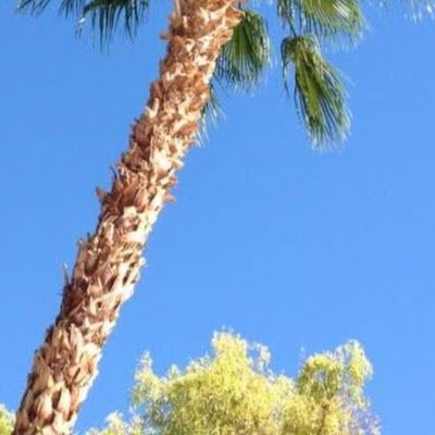 xoxo28677's profile picture. 