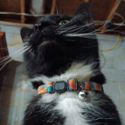 DanWV4H Profile Picture