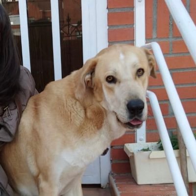 aserrinaserran7's profile picture. La vida es un teatro