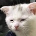 asdfasdfasdf (@bonecompass) Twitter profile photo asdfasdfasdf (@bonecompass) Twitter profile photo