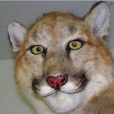 VladBPoopin's profile picture. 