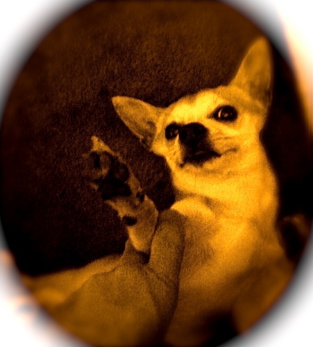 arggie Profile Picture