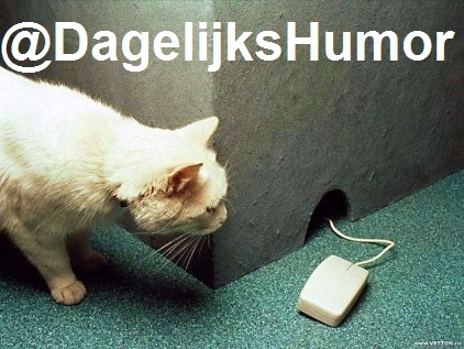 DagelijksHumor's profile picture. Dagelijks joun portie humor! #DagelijksHumor