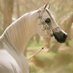 هواي الخيل (@alhqawyb82150) Twitter profile photo هواي الخيل (@alhqawyb82150) Twitter profile photo