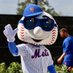 Mets Fandom (@lgmomgrimace) Twitter profile photo Mets Fandom (@lgmomgrimace) Twitter profile photo