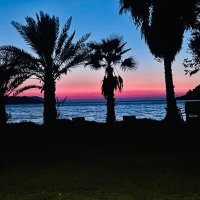 Rabia Keleş (@rabiakeles2024) Twitter profile photo