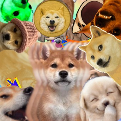 barkofsol's profile picture. dog goes bark