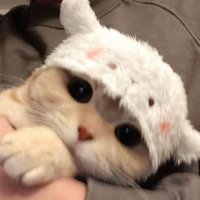 aurora ⭐︎ (@sinful_aurora) 's Twitter Profile