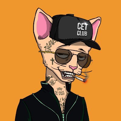 MaciagIsid68837's profile picture. 