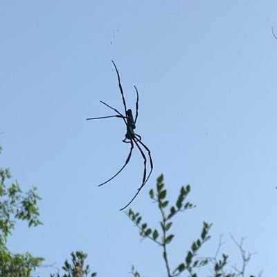 naturalthingsss's profile picture. When life gets blurry, adjust your focus