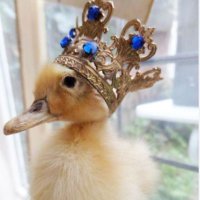 QueenBabyducks (@magababyducks) 's Twitter Profile