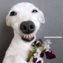 STACK__O's profile picture. Ain't nothing special just tryna make bread outside my job