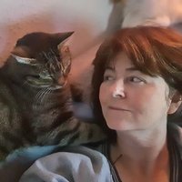 Denise Weber ♜ ♫ (@denise230468) 's Twitter Profile