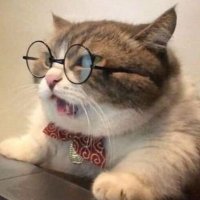 มะแง้ววว คิดถึงเด็กหลง (@ihanusongaew) 's Twitter Profile Photo มะแง้ววว คิดถึงเด็กหลง (@ihanusongaew) 's Twitter Profile Photo
