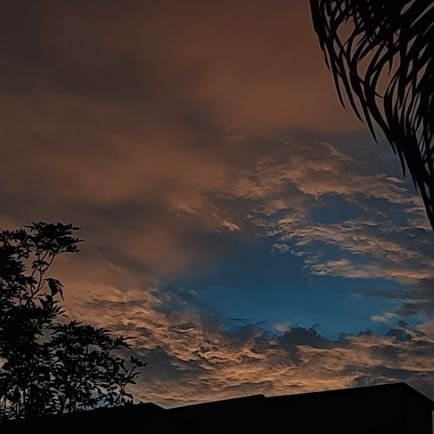 AbhinavBorde31's profile picture. IT undergrad