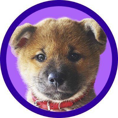 Toku is the world's first and only dog dev, determined to revolutionize the meme industry.
$TOKU
https://t.co/uw128aiJio