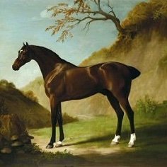 beautifulpony's profile picture. Unbridled Opulence Private by CHERAY @cheray https://t.co/rpbkGgbQun