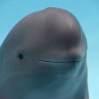AshDaD (@dustyash94) 's Twitter Profile