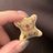 omochi_ninjin