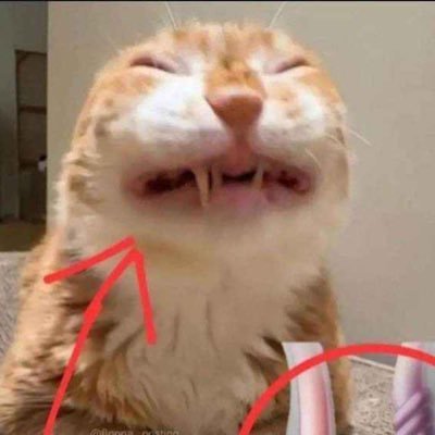 SpeedyYeezy's profile picture. always poor, never bored