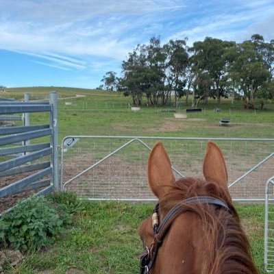 PeterJe97484487's profile picture. You live life once , Change it for the better,Carnivore diet,work hard,think positive,the rest will follow,self made is strength,government funded is weak,