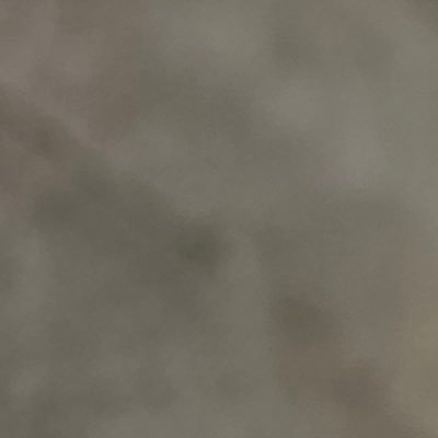 JohnWic57479279's profile picture. 