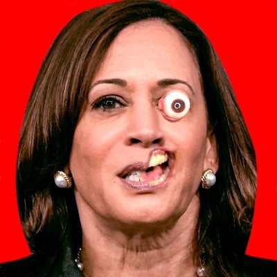 Just a harmless, lovable, little Fuzzball. 

Artist, Memer, and Doctor of Democracy

American 1st/I'm Hispanic 2nd

Phiite/Fyyte