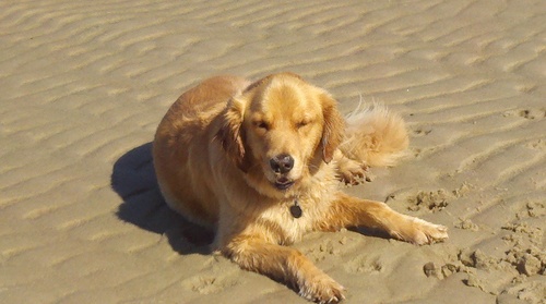 dagri91's profile picture. 