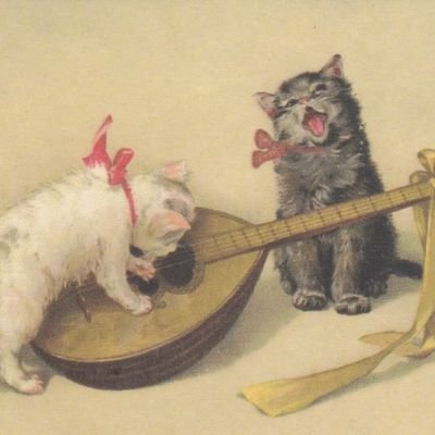 🍀Кот-Кашкаглот🪴さんのプロフィール画像