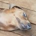 Side-eye Sunny (@meatloafnipples) Twitter profile photo Side-eye Sunny (@meatloafnipples) Twitter profile photo