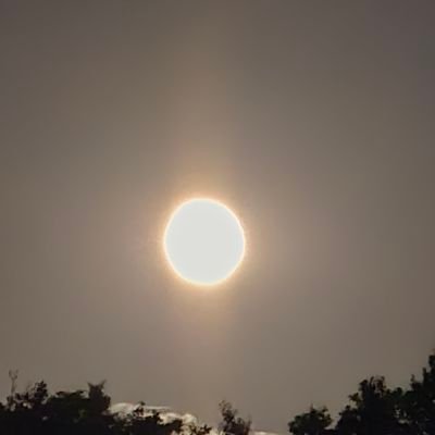 ShadowL02's profile picture. 