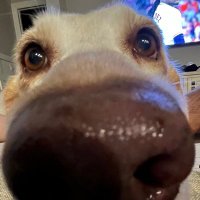 DuaneGoneSwang (@bagjdjohnson) 's Twitter Profile Photo DuaneGoneSwang (@bagjdjohnson) 's Twitter Profile Photo