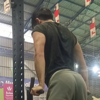 Chileno 🇨🇱, me encanta hacer barras en la plaza y sacarme la polera si hace calor