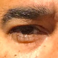 David Poland (@davidpoland) 's Twitter Profile Photo