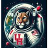 UHBig12's profile picture. This account is NOT run by the University of Houston. Previously UH_P5 #GoCoogs #ForTheCity